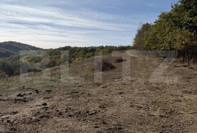 Teren în Făgetu