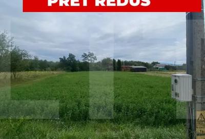 Teren de 1080 mp, în Dobolii de Jos - 5