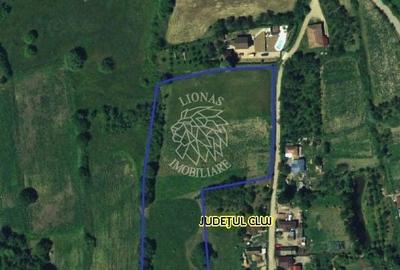 Teren de 10000 mp, în Aluniș - 1