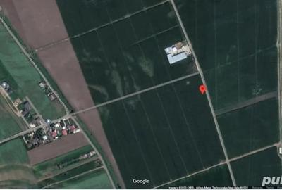 Teren de 5760 mp, în Letea Veche