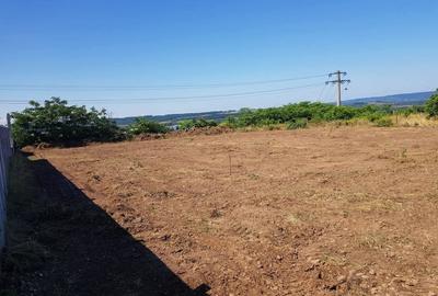 Teren de 1800 mp, în Schela - 9