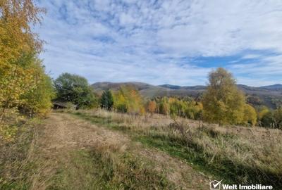 Teren Construcții intravilan de 1000 mp, în Muntele Băișorii - 3