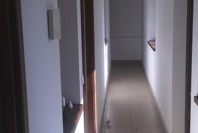 Casă cu 3 camere cu Teren 230 Mp în Chibrit