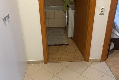 Garsonieră decomandată în Valea Ialomiței - 5