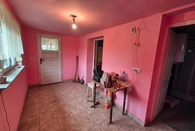Casă cu 2 camere cu Teren 750 Mp în Biharia - 6