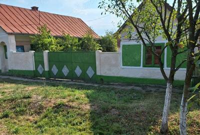 Casă cu 3 camere în Brestovăț - 4