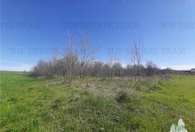 Teren Construcții intravilan de 4000 mp, în Vârteju - 7