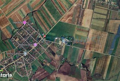Teren de 10000 mp, în Central