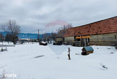 Teren de 9574 mp, în Iacobeni - 2