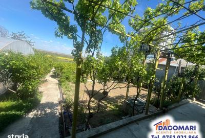 Casă cu 2 camere cu Teren 1498 Mp în Smârdan - 7