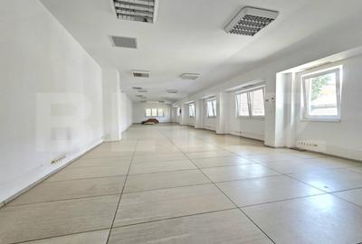 Casă cu 5 camere cu Teren 700 Mp în Elisabetin - 14