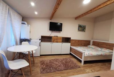Garsonieră nedecomandată în Calea Dumbrăvii - 2
