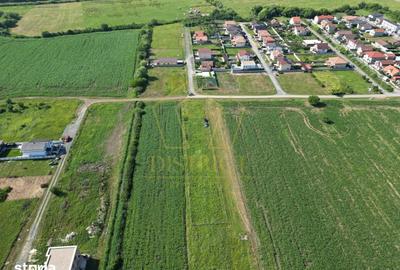 Teren de 1698 mp, în Buziașului - 1