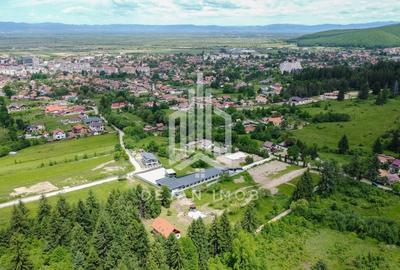 Teren Construcții intravilan de 784 mp, în Sud - 3