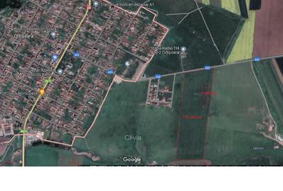 Teren agricol extravilan de 9800 mp, în Orțișoara - 5