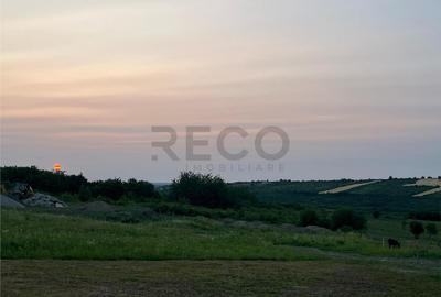 Teren de 903 mp, în Paleu - 8