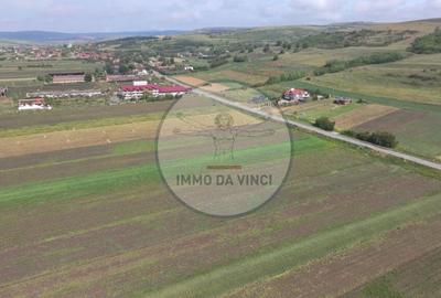 Teren de 10670 mp, în Borșa - 10