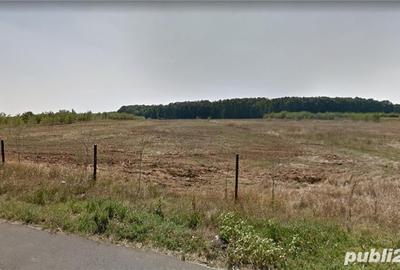 Teren de 4350 mp, în Bălteni - 4