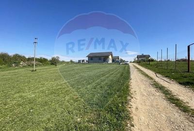 Teren Construcții intravilan de 596 mp, în Păulești - 3