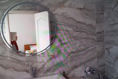 Duplex cu 3 camere cu Teren 270 Mp în Remetea Mare - 3