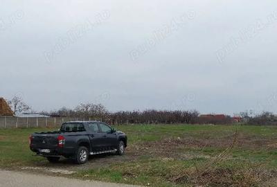 Teren de 591 mp, în Pădureni (Jebel) - 4