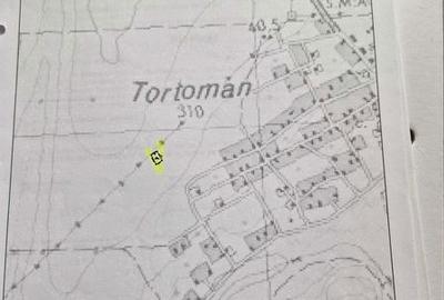 Teren de 992 mp, în Tortoman - 2