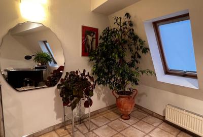 Apartament cu 2 camere decomandat în Dosu Bricii - 4