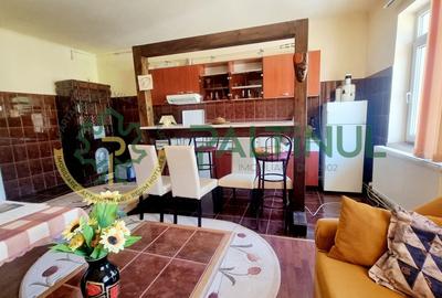 Casă individuală cu 9 camere cu Canalizare în Cisnădioara - 6