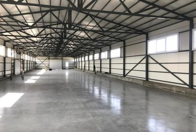 Spațiu industrial, de 984 mp, în Iris