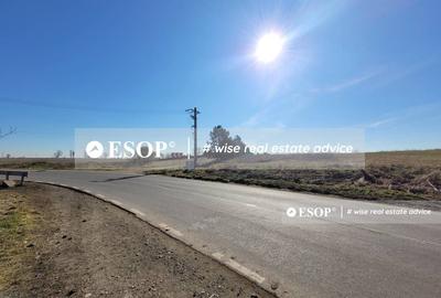 Teren Construcții intravilan de 67449 mp, în Dascălu - 3