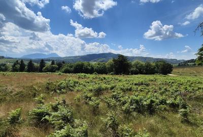 Teren de 3546 mp, în Holbav - 4