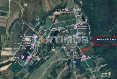 Teren Construcții extravilan de 5000 mp, în Glăjărie - 6