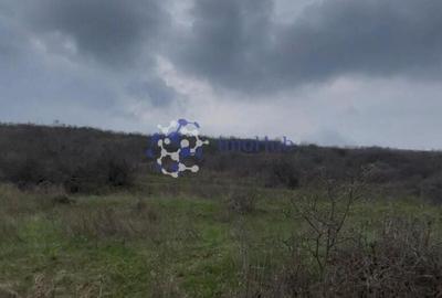 Teren de 20000 mp, în Aroneanu - 2