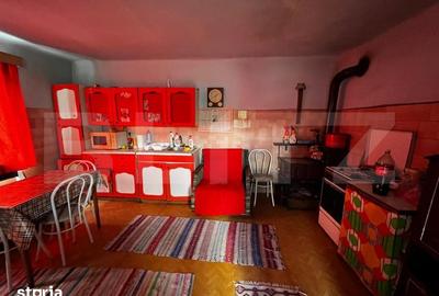 Casă cu 4 camere cu Teren 2043 Mp în Abram - 3