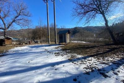 Casă cu 4 camere în Prahuda - 4