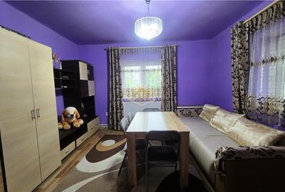 Casă individuală cu 2 camere cu Canalizare în Est - 8