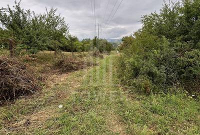 Teren de 1000 mp, în Central