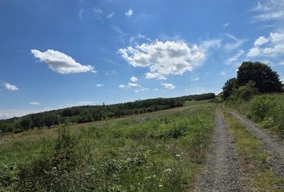 Teren de 600 mp, în Viile Satu Mare