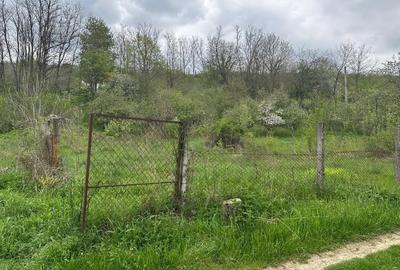 Casă individuală cu 16 camere cu Teren 5000 Mp în Malu Vârtop - 9
