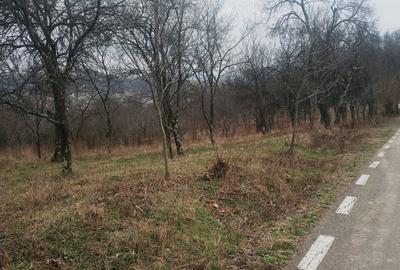 Teren de 2400 mp, în Crișeni