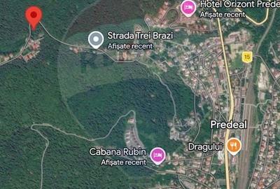 Teren Construcții de 1000 mp, în Vlădeț - Trei Brazi - 2