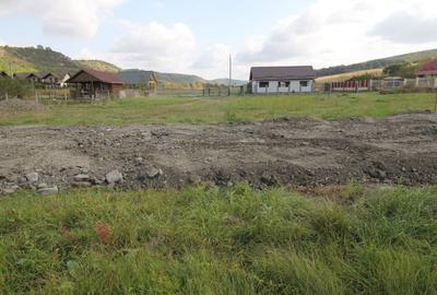 Teren Construcții intravilan de 780 mp, în Livezeni - 4