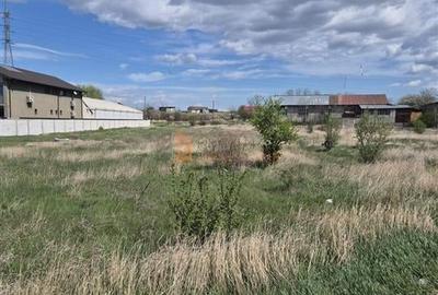 Teren Construcții intravilan de 2400 mp, în Broșteni - 2