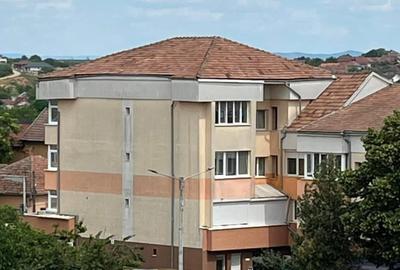 Apartament cu 2 camere semidecomandat în Sânmartin - 4