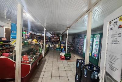 Casă cu 5 camere cu Teren 3000 Mp în Podenii Noi
