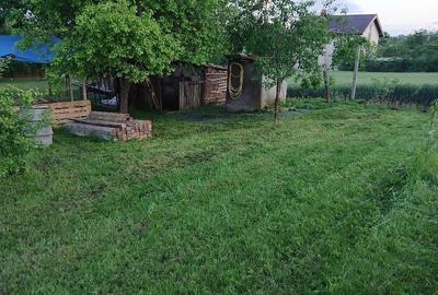 Casă cu 6 camere cu Teren 1600 Mp în Siliștea - 5