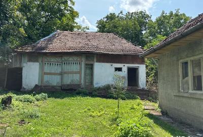 Casă cu 3 camere în Vicea