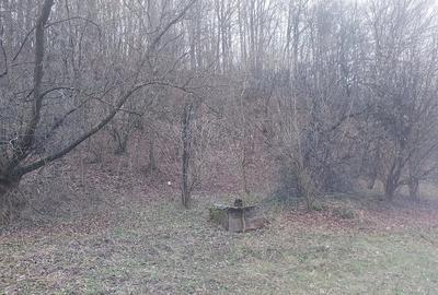 Teren de 8800 mp, în Nojag - 6