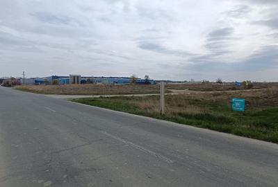 Teren agricol extravilan de 50000 mp, în Șag - 9