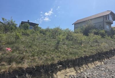 Teren Construcții intravilan de 755 mp, în Dezmir